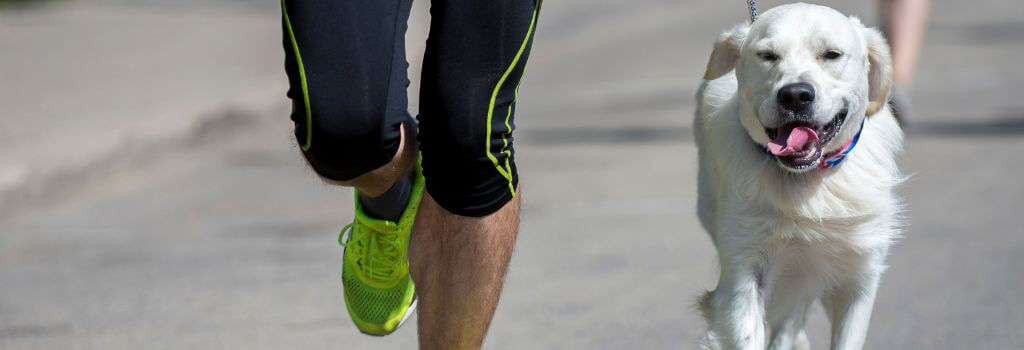 An owner and dog running for wellness