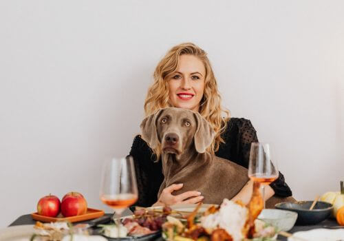 Blonde woman sitting with large gray dog on her lap at Thanksgiving table