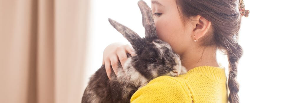 Owner holding their pet rabbit, which is healthier and happier after rabbit spaying