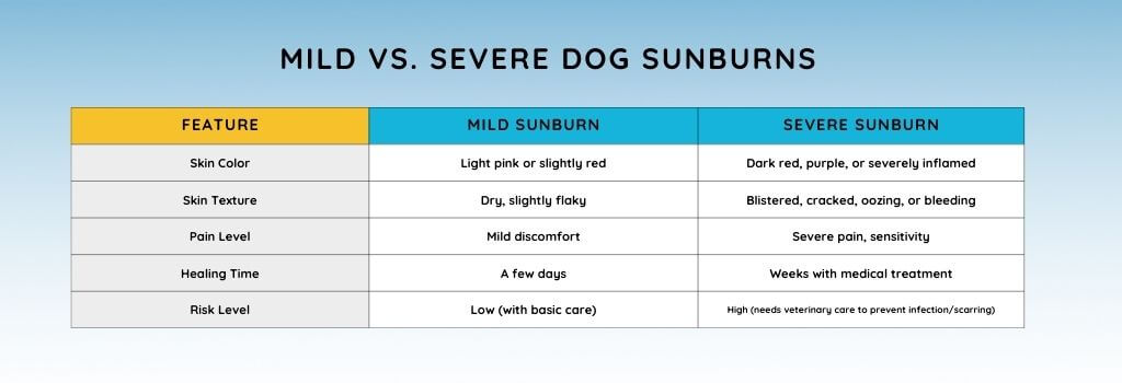 Chart of differences between mild and severe dog sunburn