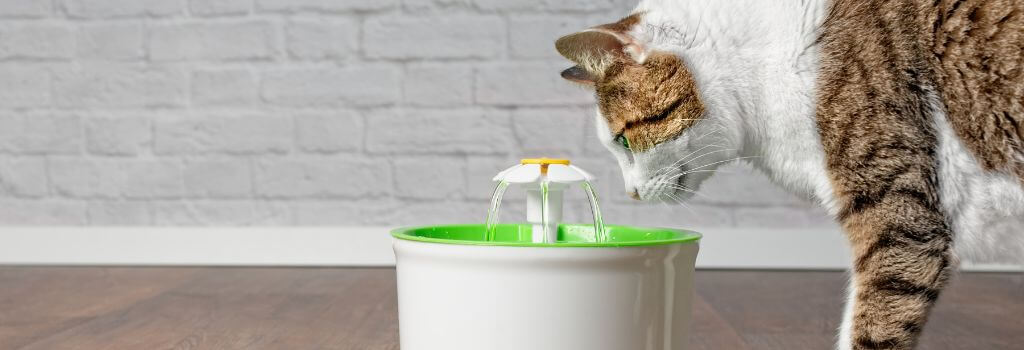 A cat drinking water from a pet fountain to help with cat constipation