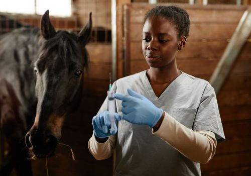 Black female veterinarian giving a horse shot