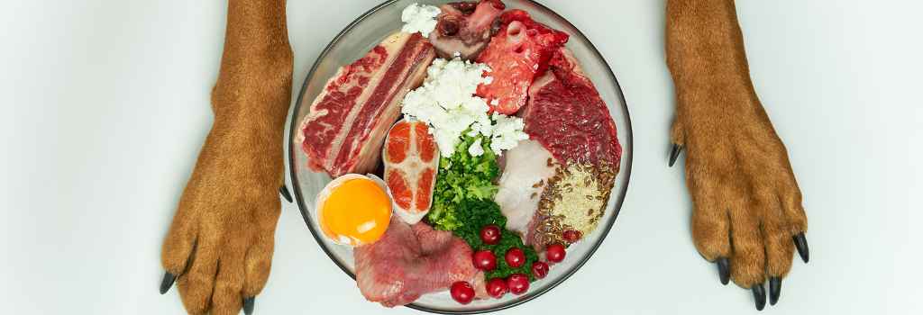 Dog bowl with raw dog foods in it, a dog's paws on either side of it
