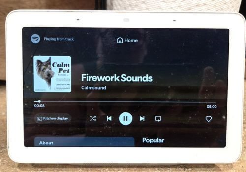 Smart home device playing fireworks sounds to desensitize a dog