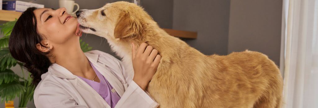 Dog licking female veterinarian on the face*