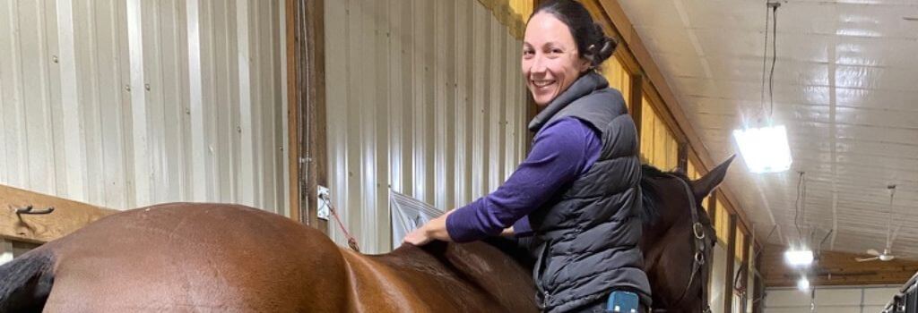 Front Range Equine Performance veterinarian examining a horse's back