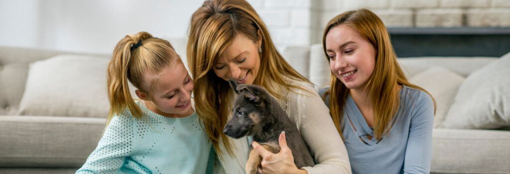 Family bonding with their puppy after overcoming puppy blues