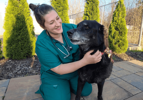 Veterinary technician holding and smiling at a senior black dog outside