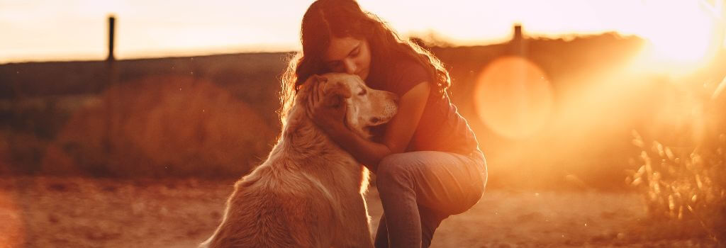 Owner embracing senior dog outside during sunset