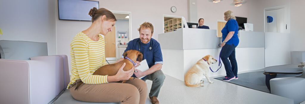 Dogs and owners waiting in the lobby of a veterinary practice