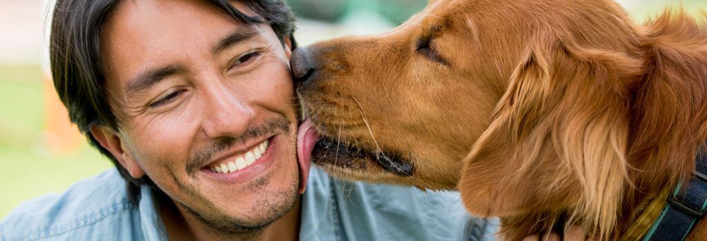 Dog licking their owner as a sign of affection