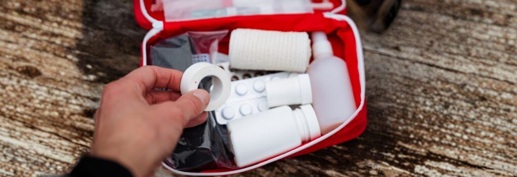 Pet First Aid Kit with bandages.