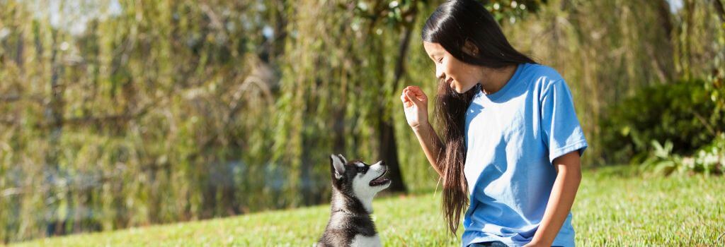 Young woman training puppy with treats