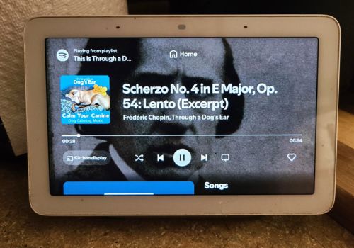 Google Home playing calming music for dogs