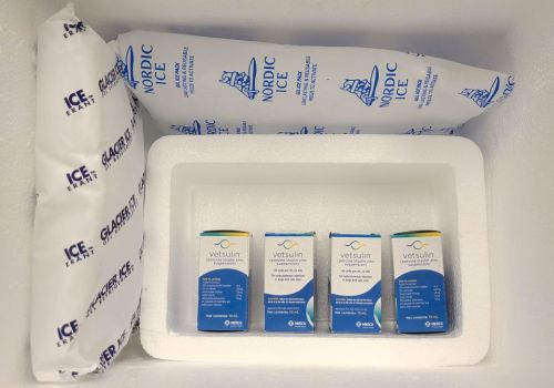 Insulin cooler for power outages