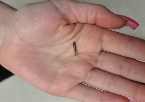 Pet microchip in the palm of a hand