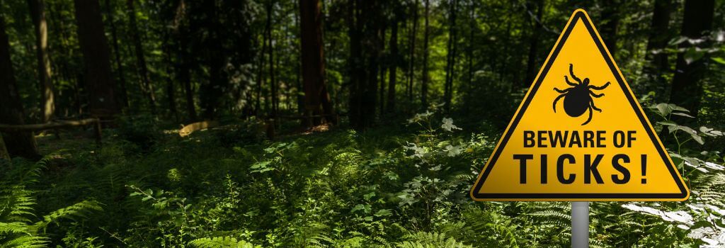 Sign on hiking trail that says Beware of Ticks