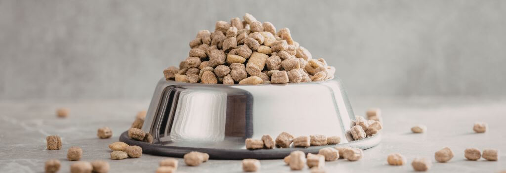 Overflowing pet food bowl